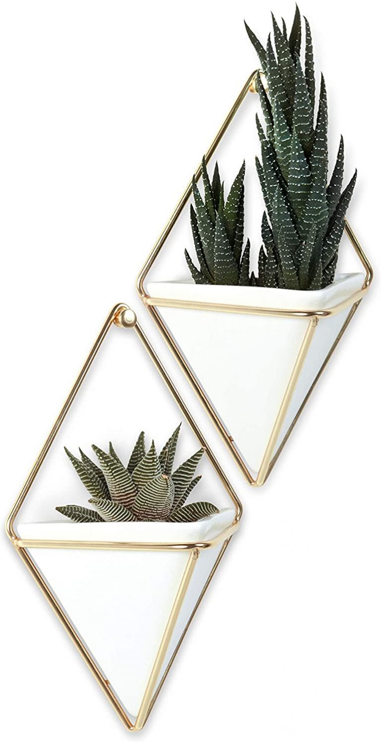 Geometric Trigg Indoor Plant Hangers Stand by Umbra