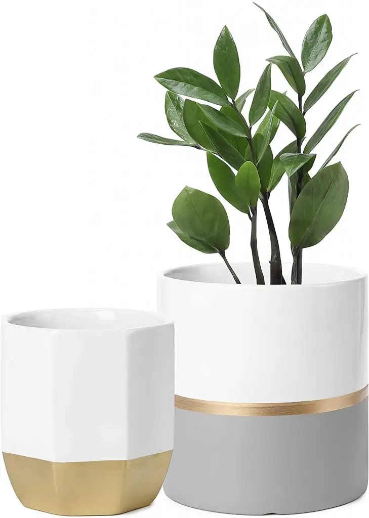 Set Of Ceramic Cylinder Shape Plant Pots (By PoTey)