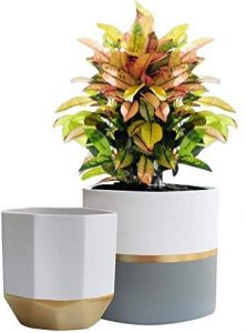 Set Of Ceramic Plant Pots White, Grey& Gold (By Exquis Home)