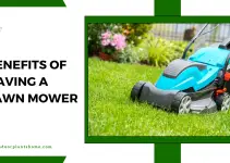 Benefits of having a lawn mower