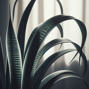 1. Snake Plant (Sansevieria trifasciata)