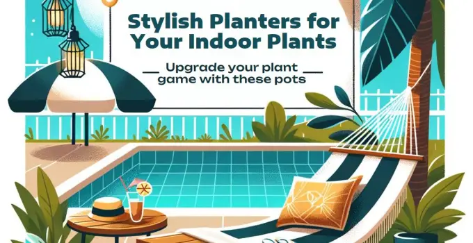 Best Planters and Pots for Indoor Plants