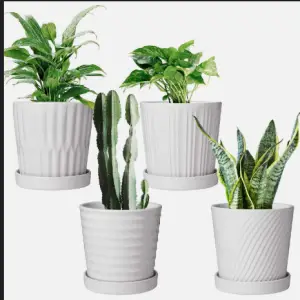 Planters and Pots