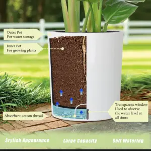 Self-Watering Planters