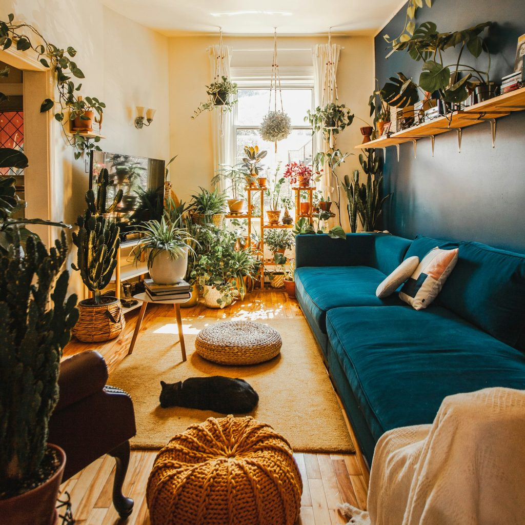Sunny living room filled with houseplants, a blue sofa and a sleeping cat